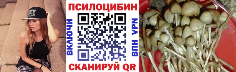 Псилоцибиновые грибы GOLDEN TEACHER  Гатчина 